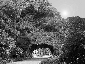 Way, tunnel, trees, viewes, Rocks