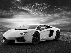 White, Aventador, Way, Lamborghini