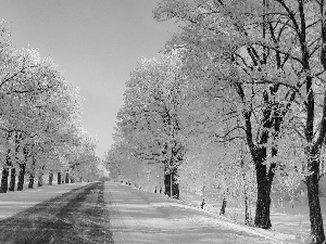 Way, winter, viewes, snow, trees