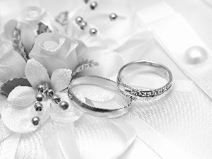 White, rings, wedding, Flowers