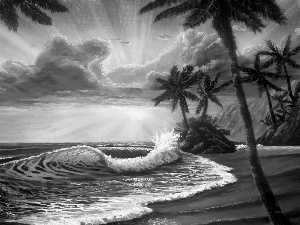 west, sun, Waves, Palms, Beaches