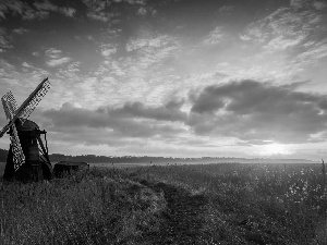 woods, Windmill, west, sun, clouds, medows