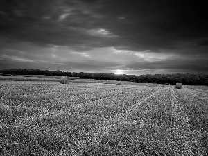 west, sun, Bele, hay, field