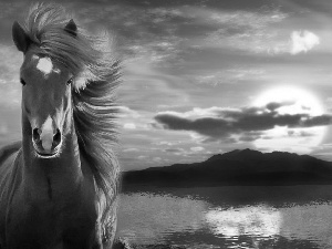 west, sun, lake, Mountains, Horse