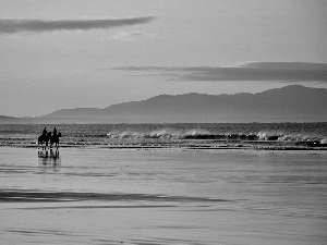 west, sun, beach, riders, sea