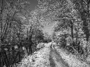 Path, trees, sun, viewes, River, west, winter