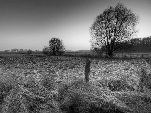 White frost, medows, sun, woods, field, west, autumn