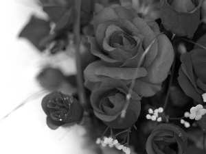 White, background, red, rouge, bouquet