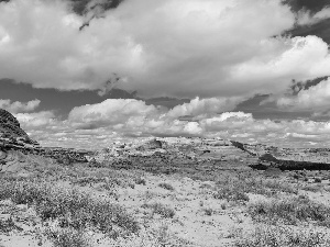 united, Arizona, White, clouds, canyon, state