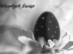 Easter, wallpaper, Widescreen, egg