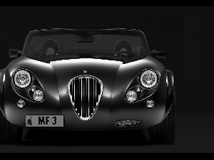 Grill, Front, Wiesmann MF3