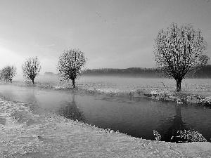 winter, rivers, willow, edges