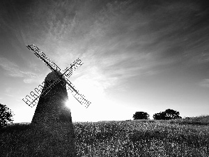 east, Meadow, Windmill, sun