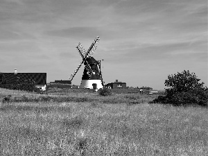 viewes, Meadow, Windmill, Sky, buildings, trees