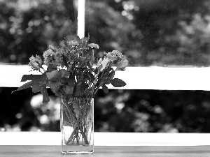 bouquet, Vase, Window, flowers