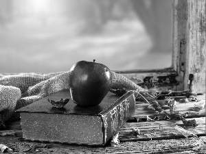 Autumn, Apple, Window, composition, Leaf, Book