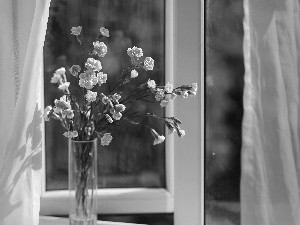 Flowers, Vase, Window, cloves