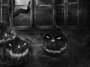 Window, pumpkin, Night
