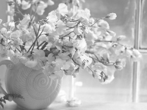 peas, Vase, Window, fragrant