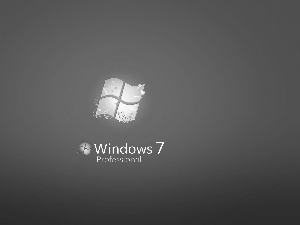 Windows 7, Professional