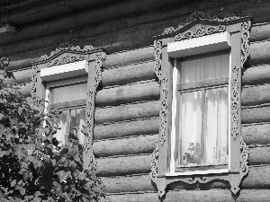 Windows, house, wooden