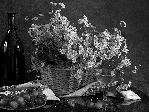 Astra, Bottle, Wine, cherries