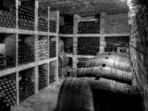 basement, Wines