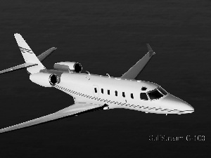 GulfStream G-100, wings