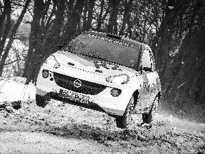 Opel Adam R2, winter