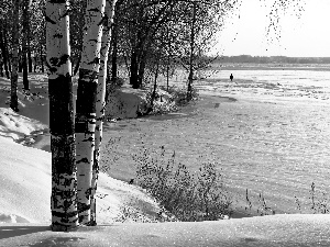 winter, River, birch