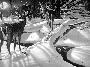 deer, forest, winter, doe