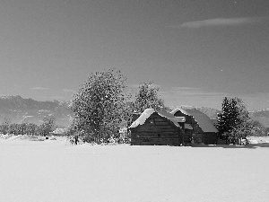 field, Mountains, winter, Houses