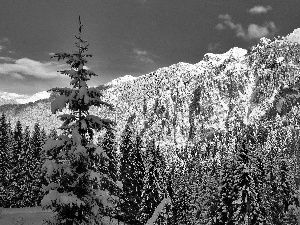 winter, Mountains, forest