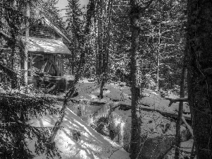 winter, Watermill, forest