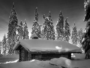 house, viewes, winter, trees