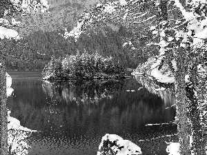 lake, forest, winter, Island