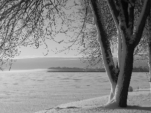 winter, trees, lake