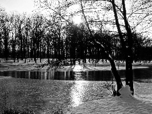 lake, viewes, winter, trees