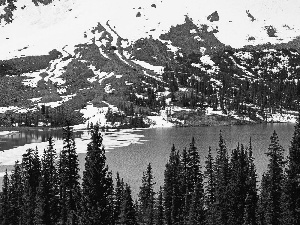 Mountains, Spruces, winter, River