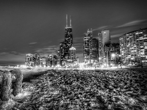 winter, Chicago, snow