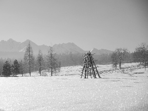 winter, cover, snow