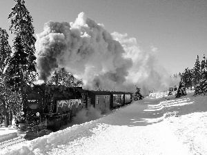 Train, viewes, winter, trees