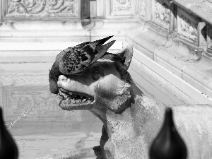 pigeon, sculpture, Wolf, fountain