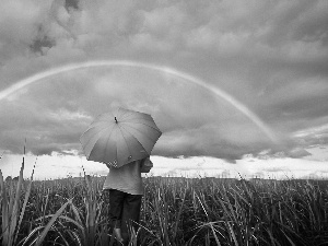 Meadow, clouds, Women, Great Rainbows