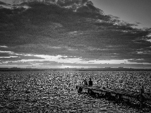 Women, a man, sun, Mountains, west, pier, lake, clouds