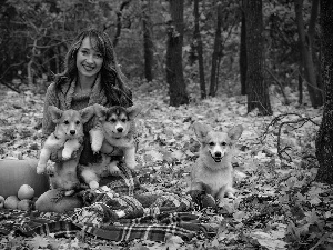 Women, Dogs, pumpkin, Welsh corgi pembroke, Three, coverlet, Leaf