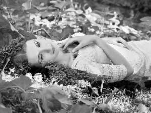 Women, make-up, cornflowers, Beauty, Meadow