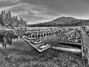 Boats, lake, woods, autumn, motorboat, Harbour