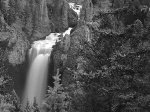 woods, waterfall, canyon