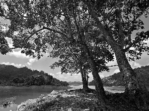 woods, clouds, Island, Mountains, lake